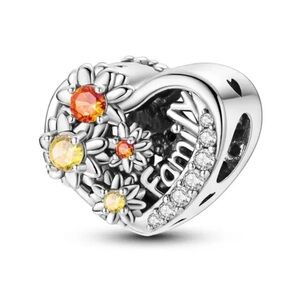 New family pandora style charm